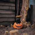 Load image into Gallery viewer, Black Cat in Jack-o’-Lantern by Bridget McCarty Halloween Decor
