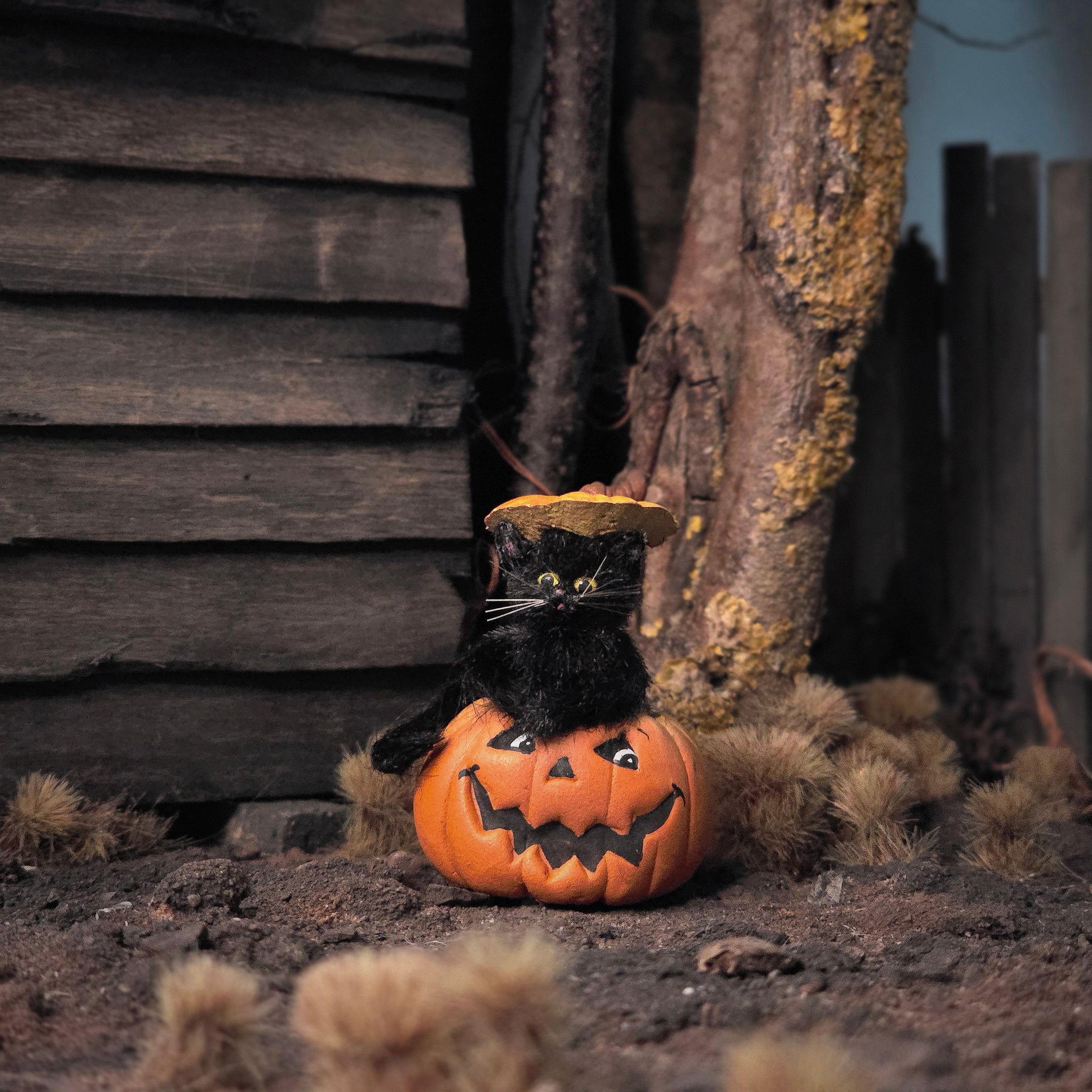 Black Cat in Jack-o’-Lantern by Bridget McCarty Halloween Decor