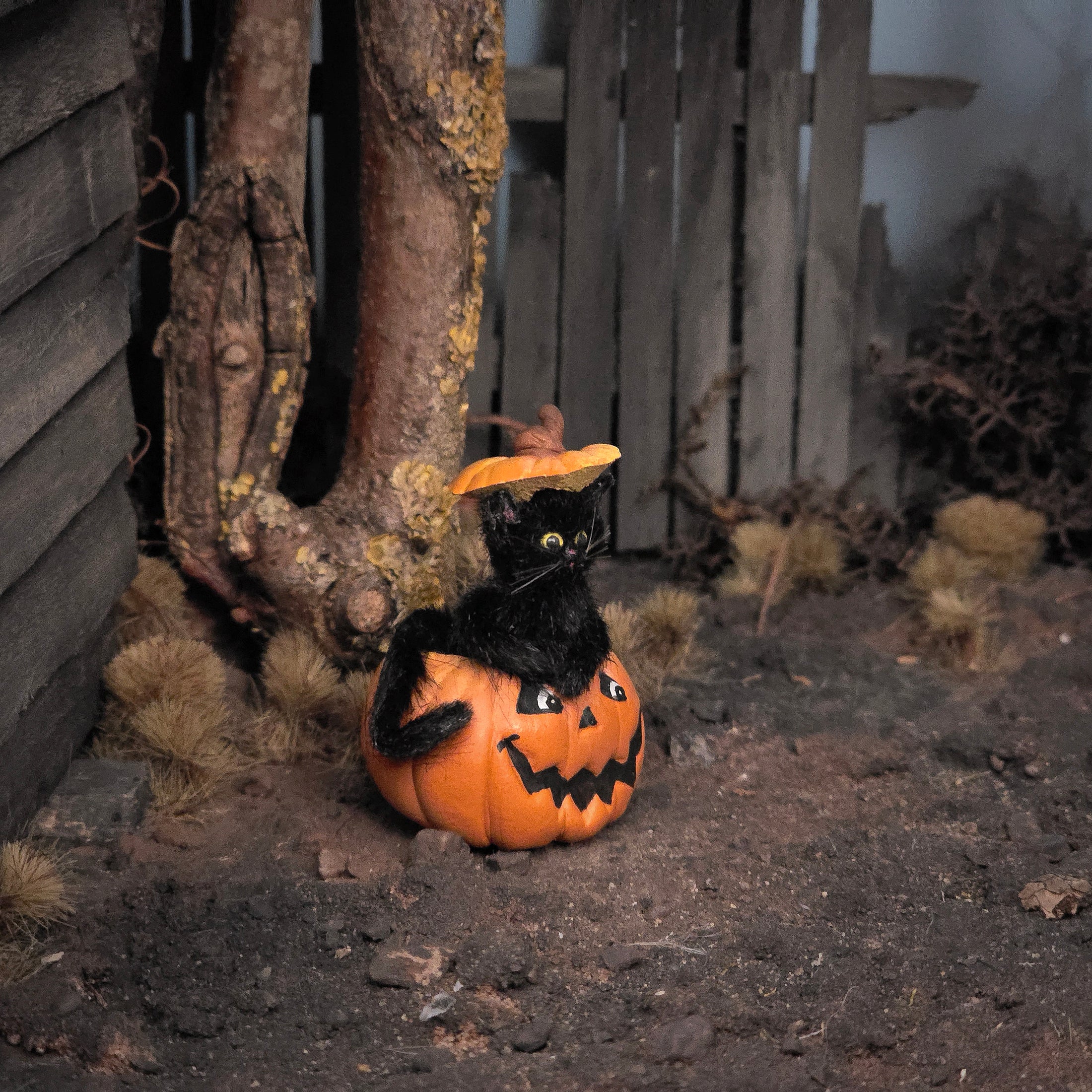 Black Cat in Jack-o’-Lantern by Bridget McCarty Halloween Decor