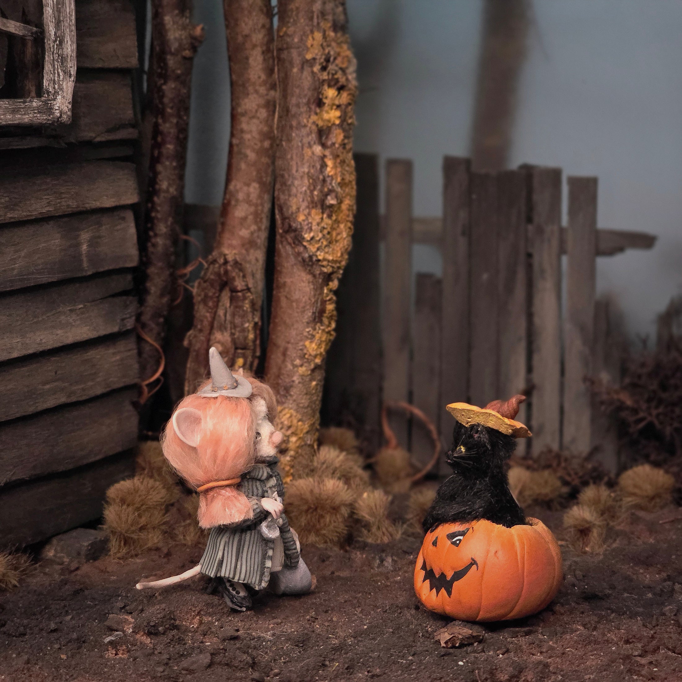 Black Cat in Jack-o’-Lantern by Bridget McCarty Halloween Decor
