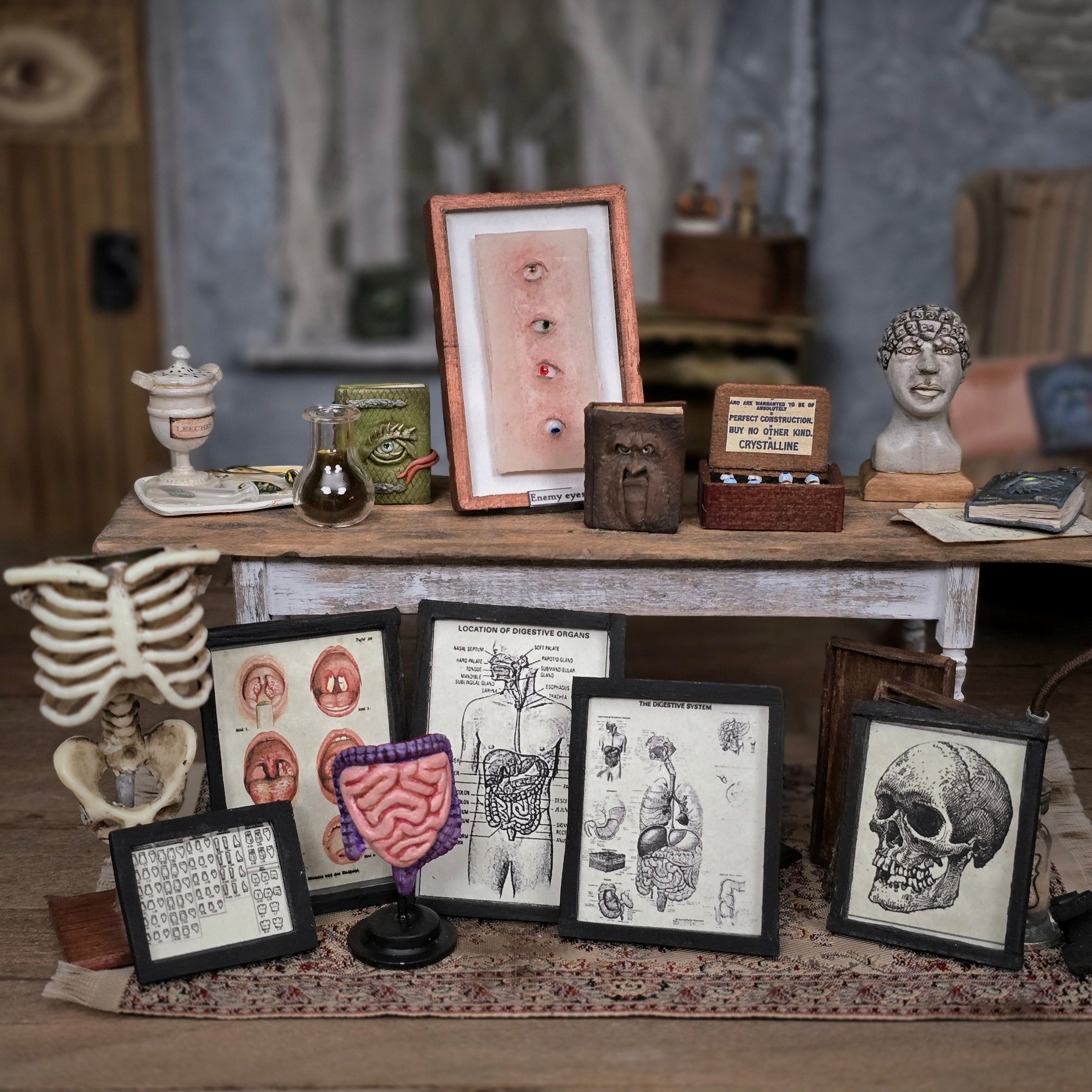 Scientific Medical Anatomical Study Set by K. Coursien & T. Dudley