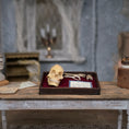 Load image into Gallery viewer, Miniature Skull and Bone Specimen Tray Scientific Medical Decor
