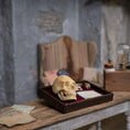 Load image into Gallery viewer, Miniature Skull and Bone Specimen Tray Scientific Medical Decor
