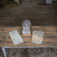 Load image into Gallery viewer, Miniature Phrenology Head with Antique-Style Charts Medical Decor
