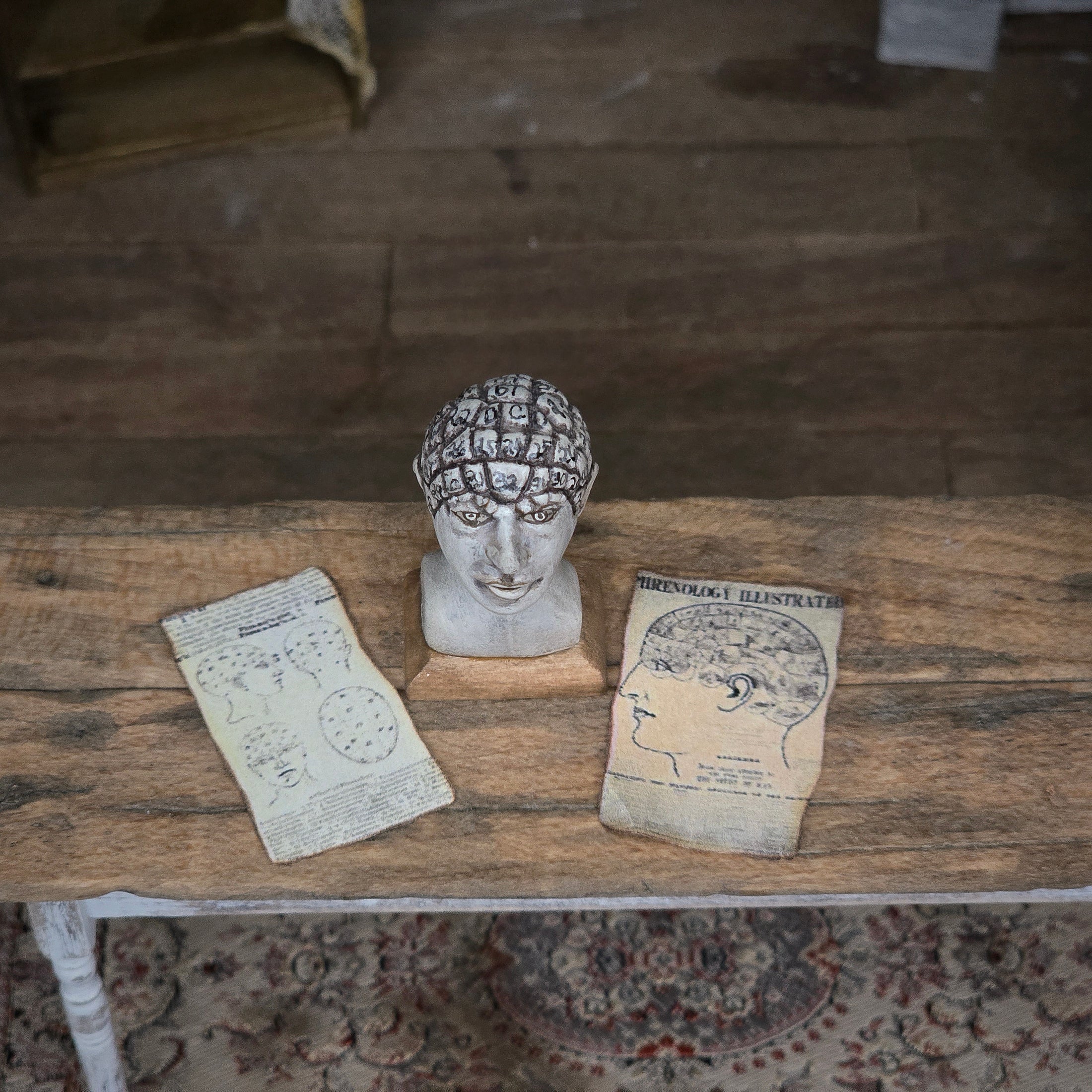 Miniature Phrenology Head with Antique-Style Charts Medical Decor