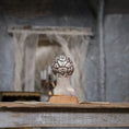 Load image into Gallery viewer, Miniature Phrenology Head with Antique-Style Charts Medical Decor
