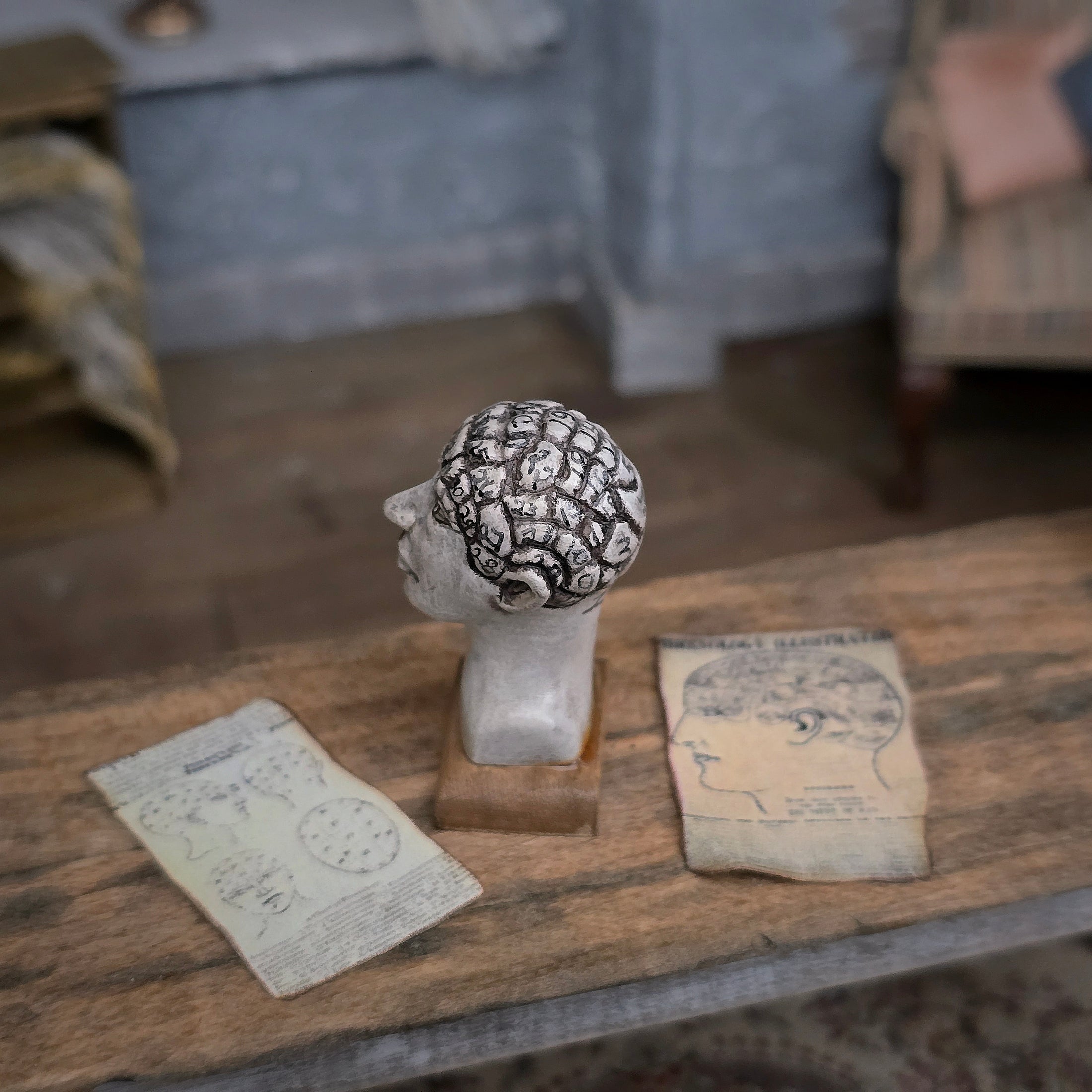 Miniature Phrenology Head with Antique-Style Charts Medical Decor