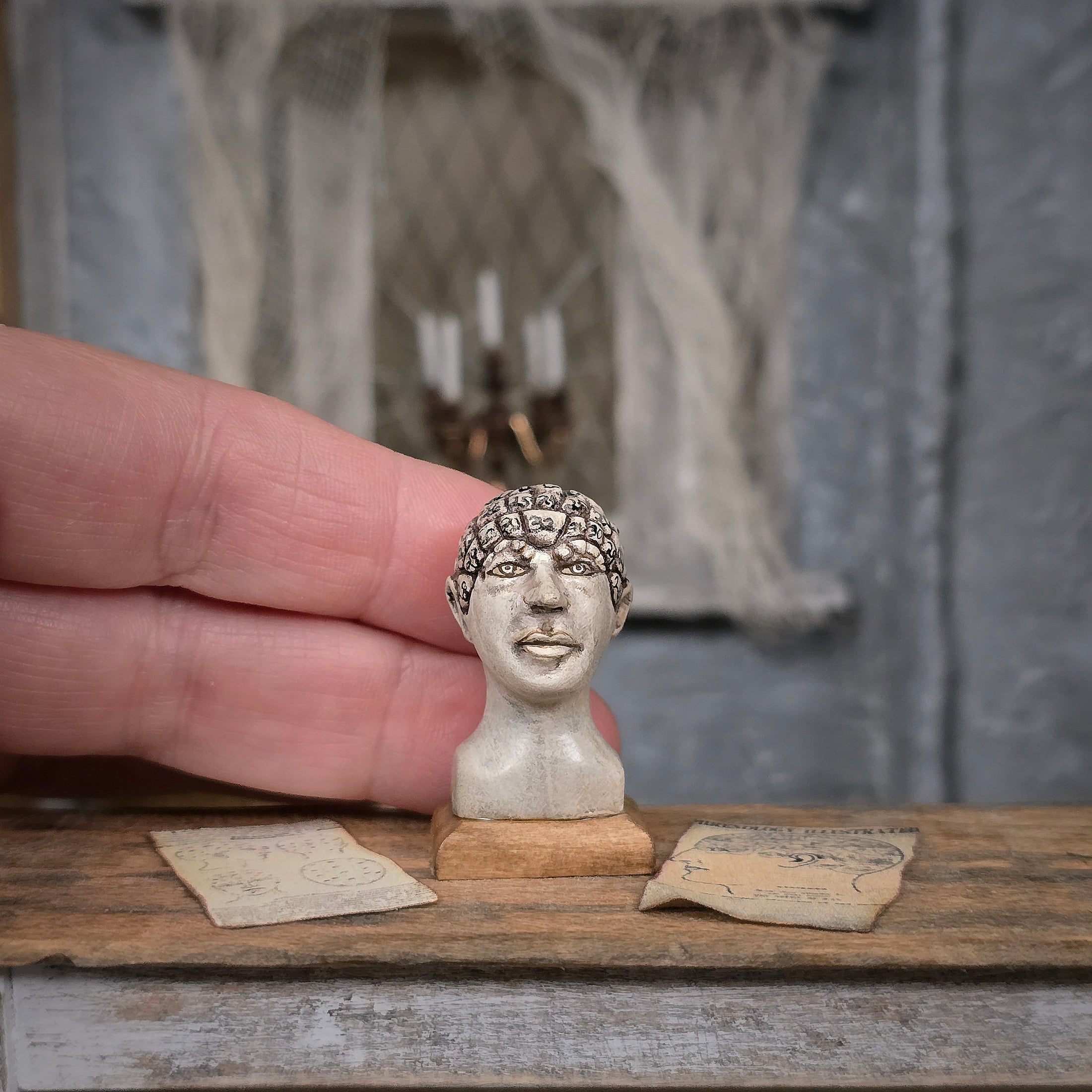 Miniature Phrenology Head with Antique-Style Charts Medical Decor