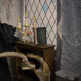 Load image into Gallery viewer, Georgia Marfels Dragon Eye Book Dollhouse Miniature in 1:12 Scale
