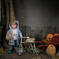 Load image into Gallery viewer, Spooky Metal & Burlap Dollhouse Children's Tricycle in Miniature
