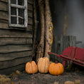 Load image into Gallery viewer, Hand-Sculpted Clay Pumpkin Trio  1:12 Scale Halloween Miniatures
