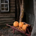 Load image into Gallery viewer, Hand-Sculpted Orange Pumpkin Trio Dollhouse Miniatures in 1:12 Scale
