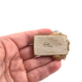 Load image into Gallery viewer, Linda Cummings Thanksgiving Harvest Cornucopia Board with Bread Mouse

