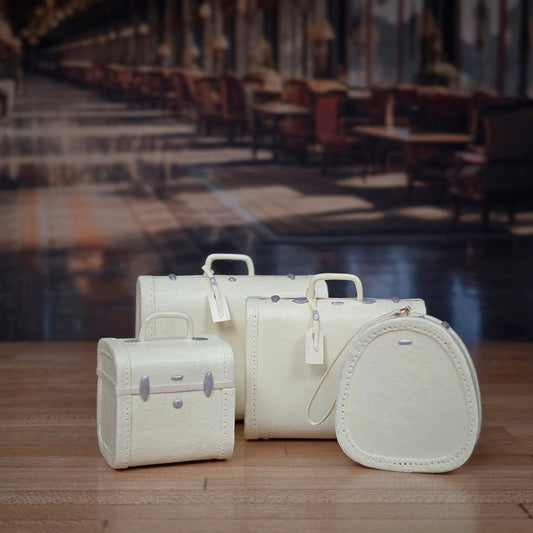 Vintage-Style 4-Piece Cream Luggage Set with Suitcases, Train Case & Hat Box