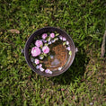 Load image into Gallery viewer, Gosia Suchodolska Miniature Rose Petal Wash Basin 1:12 Dollhouse Floral Water Feature
