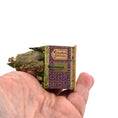 Load image into Gallery viewer, Miniature Mechanical Toy Seaside Automata by Almudena Gonzalez OOAK
