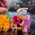 Load image into Gallery viewer, Anna Braun Girly Pink Silk Mohair Butterfly Bear with Wings and Antennae, Jointed
