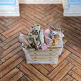 Load image into Gallery viewer, Marie-Pierre Gratias MP Creations Dresser Vignette Teddy Bears, Hatbox & Ephemera
