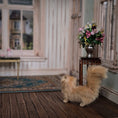 Load image into Gallery viewer, Julie Parrott Ginger Persian Cat 1:12 Miniature Artisan Animal Wool & Clay
