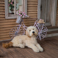 Load image into Gallery viewer, Tina Sanschagrin Goldendoodle Dog 1:12 Miniature Artisan Animal Wool & Clay
