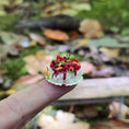 Load image into Gallery viewer, Gosia Suchodolska & Anna Wybranowska Berry Pavlova Meringue Dessert Gosia’s Garden
