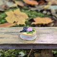 Load image into Gallery viewer, Gosia Suchodolska & Anna Wybranowska Naked Cake with Pink Peony & Wild Grapes
