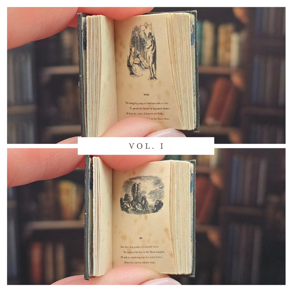 Miniature book held open with visible text and illustrations, set against a blurred bookshelf background.