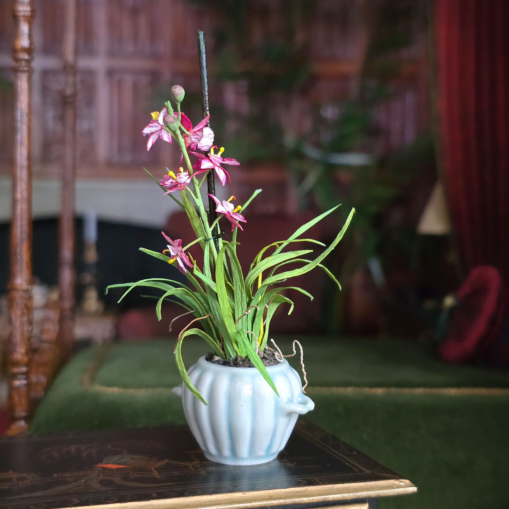 Potted plant with pink flowers on a wooden surface