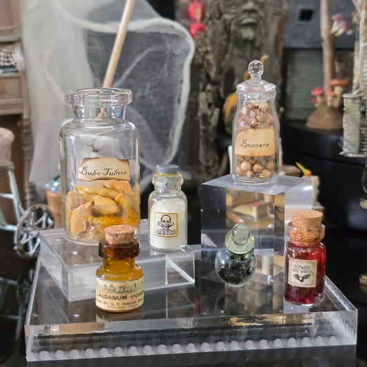 6-Piece Witch’s Apothecary Jar Set OOAK Halloween Potion Bottles with Poison & Bat Wings