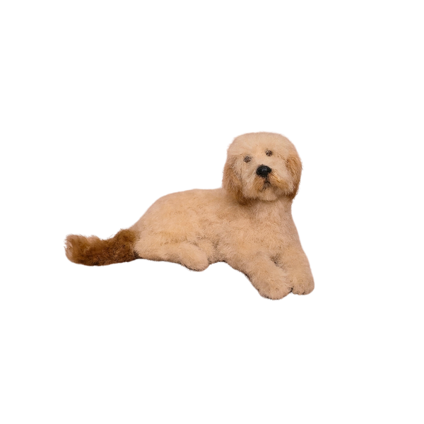 Tina Sanschagrin Goldendoodle Dog 1:12 Miniature Artisan Animal Wool & Clay
