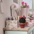 Load image into Gallery viewer, Pink Flowering Mammillaria Cactus Plant in Terracotta Planter with Butterfly Realistic
