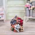 Load image into Gallery viewer, Colorful Flowering Hydrangea Plant in Terracotta Planter with Butterfly Realistic
