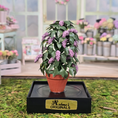 Load image into Gallery viewer, Potted Amethyst Wisteria Plant Silk Flowering Houseplant Vintage Arlene Bellinger
