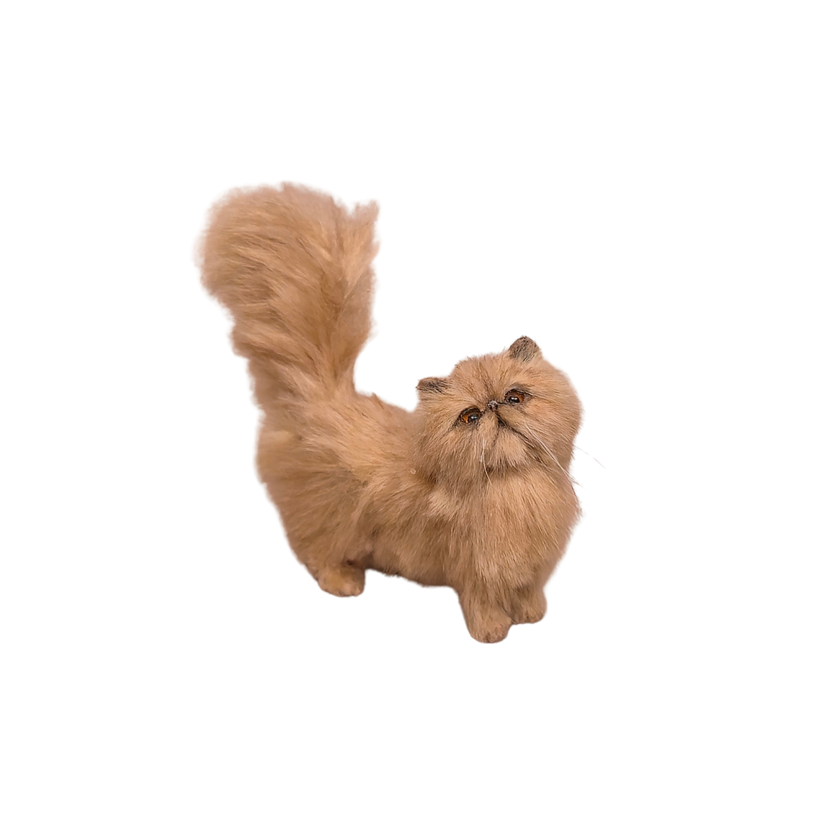 Julie Parrott Ginger Persian Cat 1:12 Miniature Artisan Animal Wool & Clay