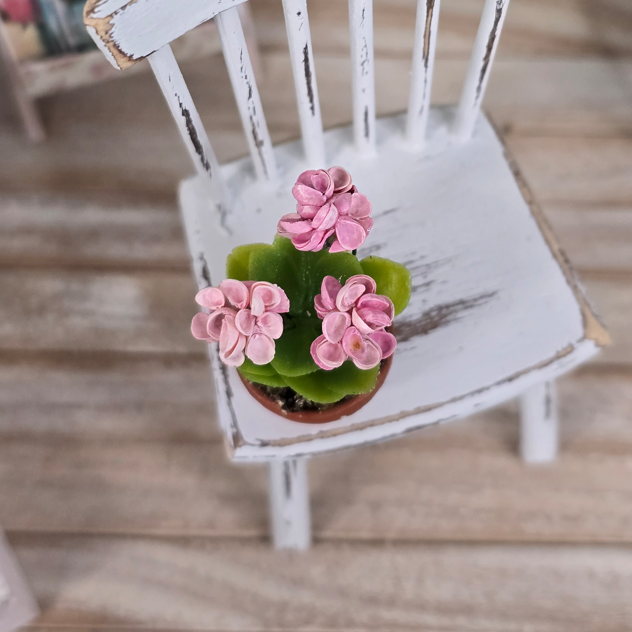 Potted Pink Geranium Plant Seashell Flowering Houseplant Vintage Artisan
