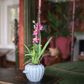 Load image into Gallery viewer, Potted plant with pink flowers on a table in a room with blurred background
