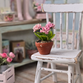 Load image into Gallery viewer, Potted Pink Geranium Plant Seashell Flowering Houseplant Vintage Artisan

