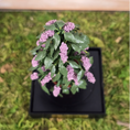 Load image into Gallery viewer, Potted Amethyst Wisteria Plant Silk Flowering Houseplant Vintage Arlene Bellinger
