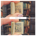 Load image into Gallery viewer, Miniature books with illustrations held by a hand in front of a bookshelf.
