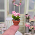 Load image into Gallery viewer, Potted Pink Geranium Plant Seashell Flowering Houseplant Vintage Artisan

