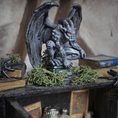 Load image into Gallery viewer, Black Wooden Halloween Curio Cabinet OOAK Miniature with Magical Contents & Gargoyle
