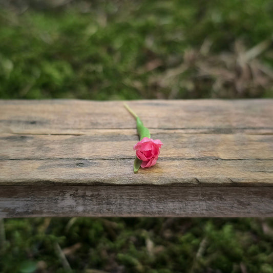 Gosia Suchodolska IGMA Artisan Miniature Single Dark Pink Tulip Stem Magpie Exclusive