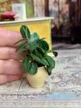 Load image into Gallery viewer, OOAK Artisan Signed Houseplant in Porcelain Planter
