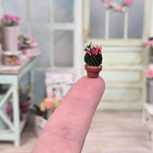 Pink Flowering Mammillaria Cactus Plant in Terracotta Planter with Butterfly Realistic