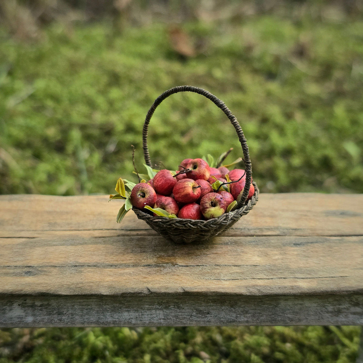 Gosia Suchodolska IGMA Artisan Miniature Apple Harvest Basket Exclusive