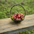 Load image into Gallery viewer, Gosia Suchodolska IGMA Artisan Miniature Apple Harvest Basket Exclusive
