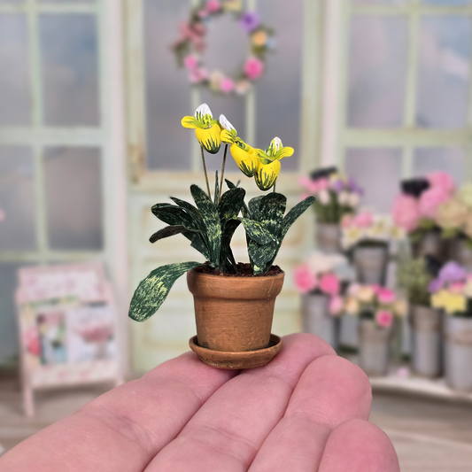 Potted Yellow Orchid Hand Painted Flowering Houseplant Vintage Artisan