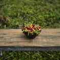 Load image into Gallery viewer, Gosia Suchodolska IGMA Artisan Miniature Wild Woodland Berry Basket Exclusive

