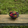 Load image into Gallery viewer, Gosia Suchodolska IGMA Artisan Miniature Summer Wild Berry Basket Exclusive
