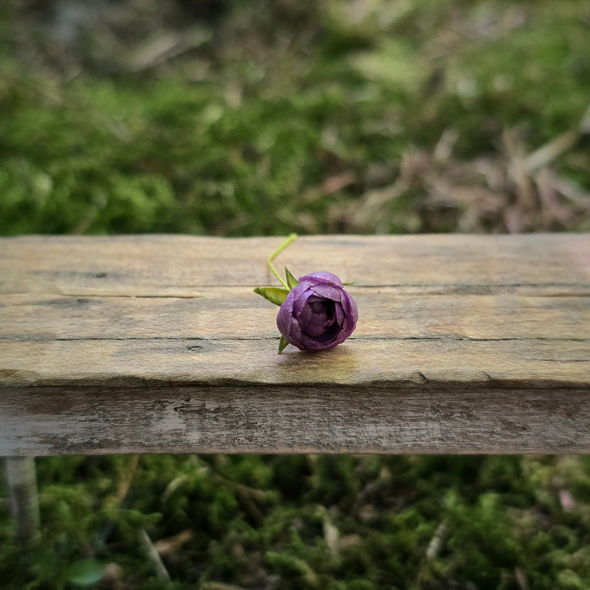 Gosia Suchodolska IGMA Artisan Miniature Medium Purple Rose Stem Magpie Exclusive